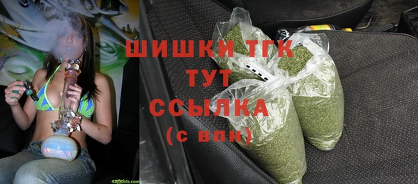 дмт Алзамай