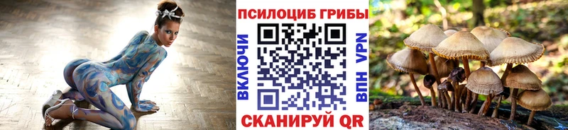 Псилоцибиновые грибы Magic Shrooms цена Вышний Волочёк